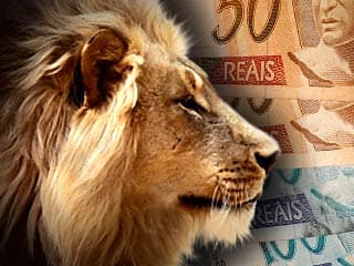 Segurados do INSS podem acessar comprovante de rendimentos na internet