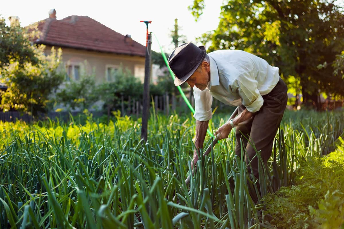A Aposentadoria por Idade Híbrida após a Reforma da Previdência (EC 103/2019)