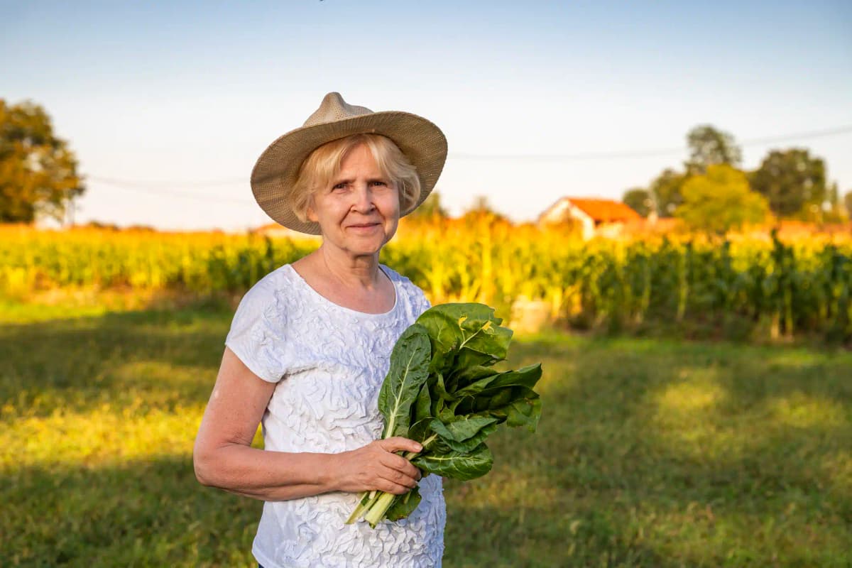 CCJ aprova garantia de aposentadoria para donas de casa do campo