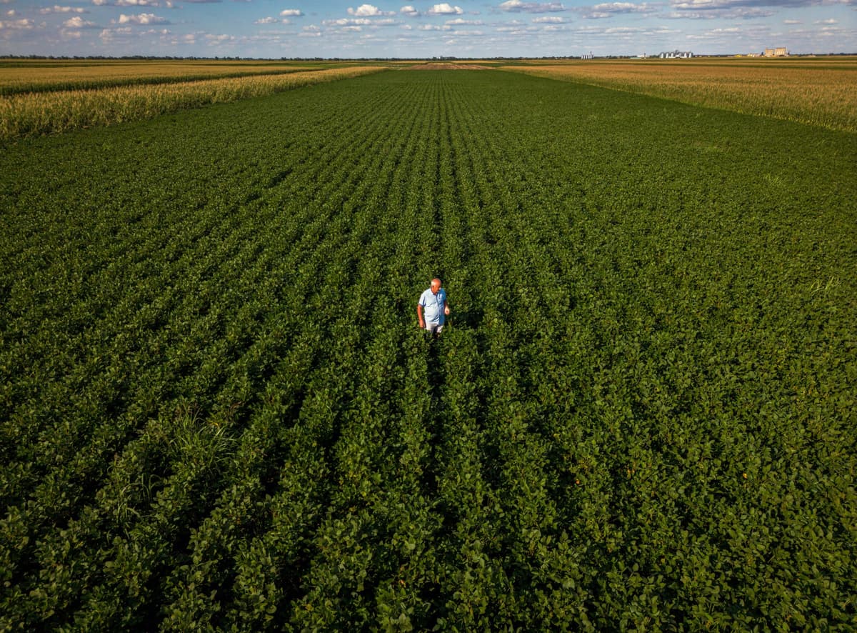 TRF1: aposentadoria rural não é qualificada por tamanho da propriedade